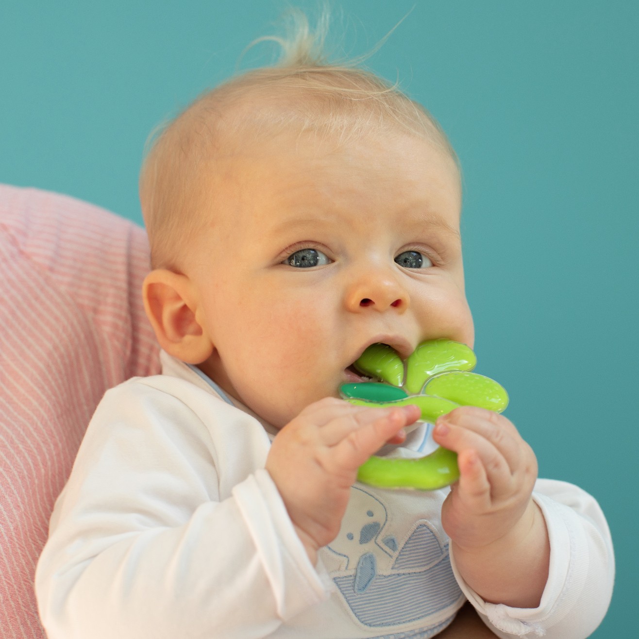 Splash Apple Teether(Not Available in the UK)