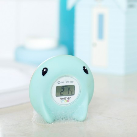 Ray - Bath & Room Thermometer (Not Available in the UK)